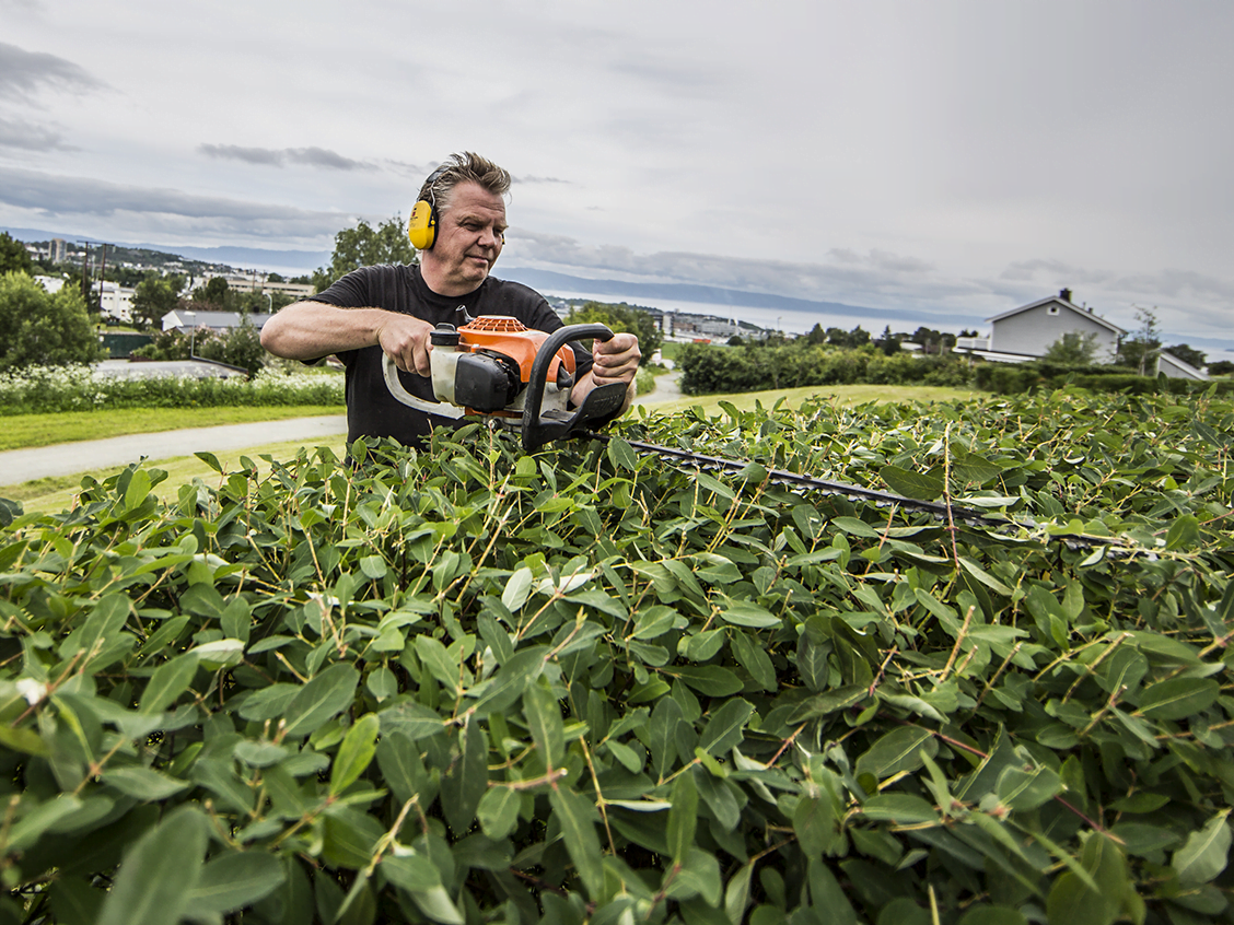 Person klipper en stor grønn hekk med en motorisert hekksaks i en hage, med hus og åpent landskap i bakgrunnen