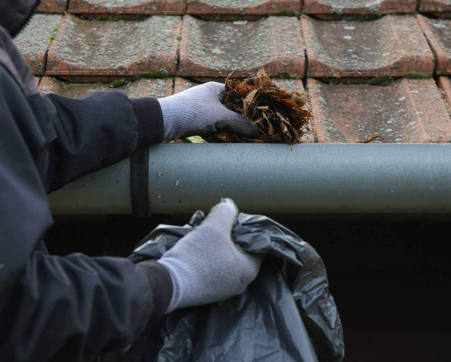 Rengjøring av takrenne, blader fjernes med hansker og pose